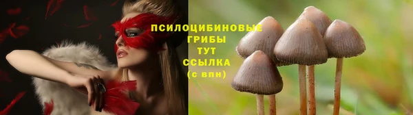 mix Арсеньев
