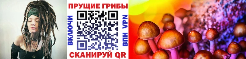 купить наркоту  Певек  Галлюциногенные грибы MAGIC MUSHROOMS 